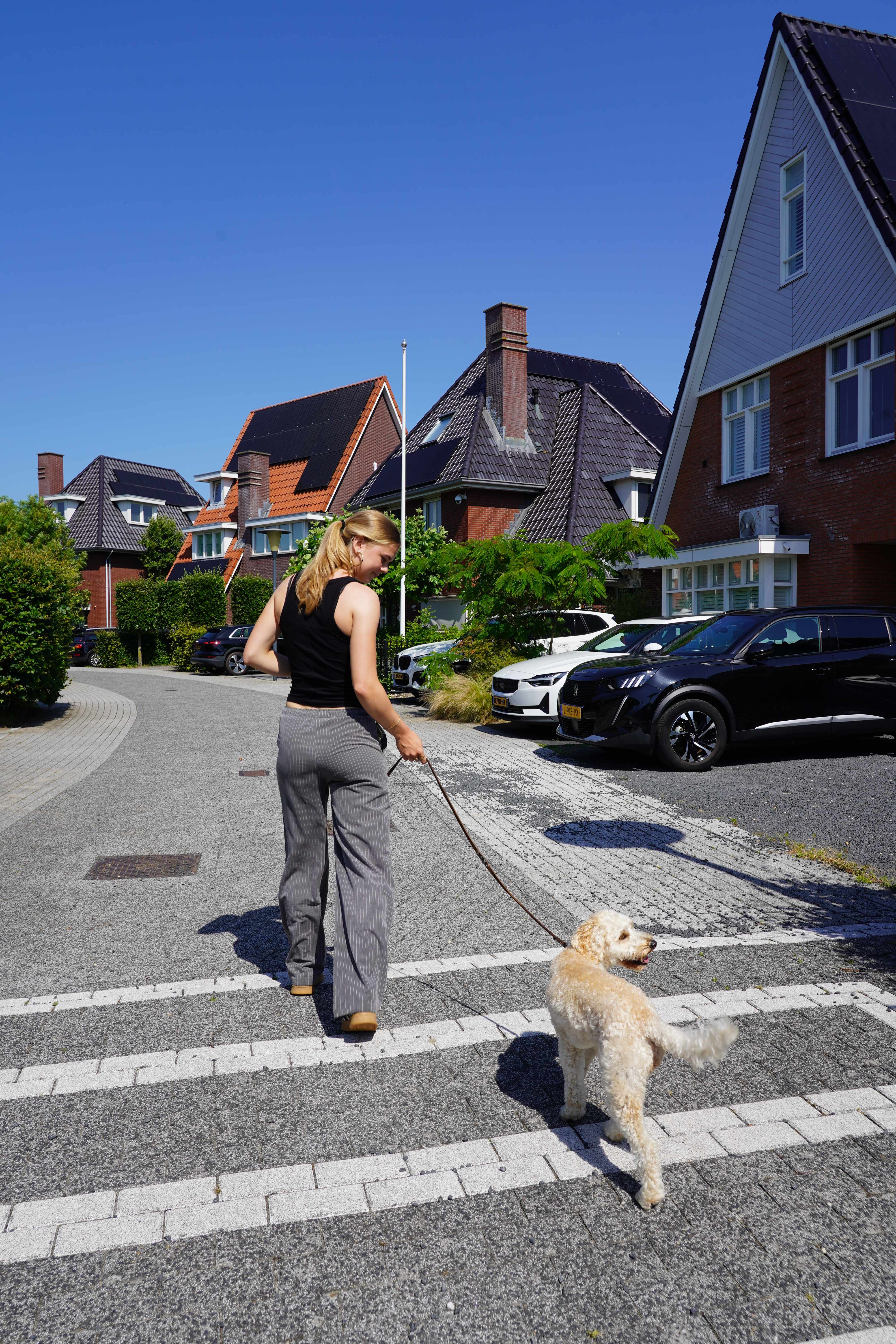 Bewoner loopt met de hond door de buurt
